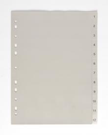 Rozaova Karton PP A4, 1 - 12, 12 list