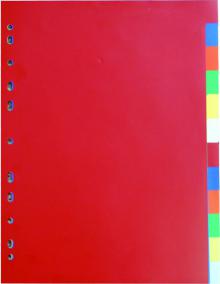 Rozaova Karton PP A4, mix barev, 12 list