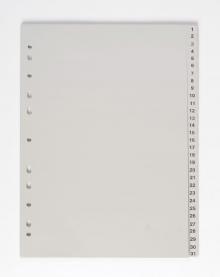 Rozaova Karton PP A4, 1 - 31, 31 list